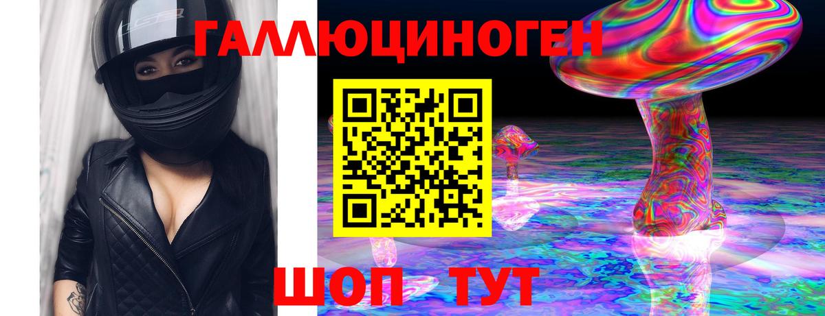 Камышин  Псилоцибиновые грибы GOLDEN TEACHER  Вход с VPN 